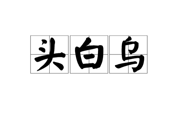 頭白烏 頭白烏