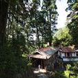 三堆村(浙江慶元縣百山祖鎮三堆村) 三堆村(浙江慶元縣百山祖鎮三堆村)