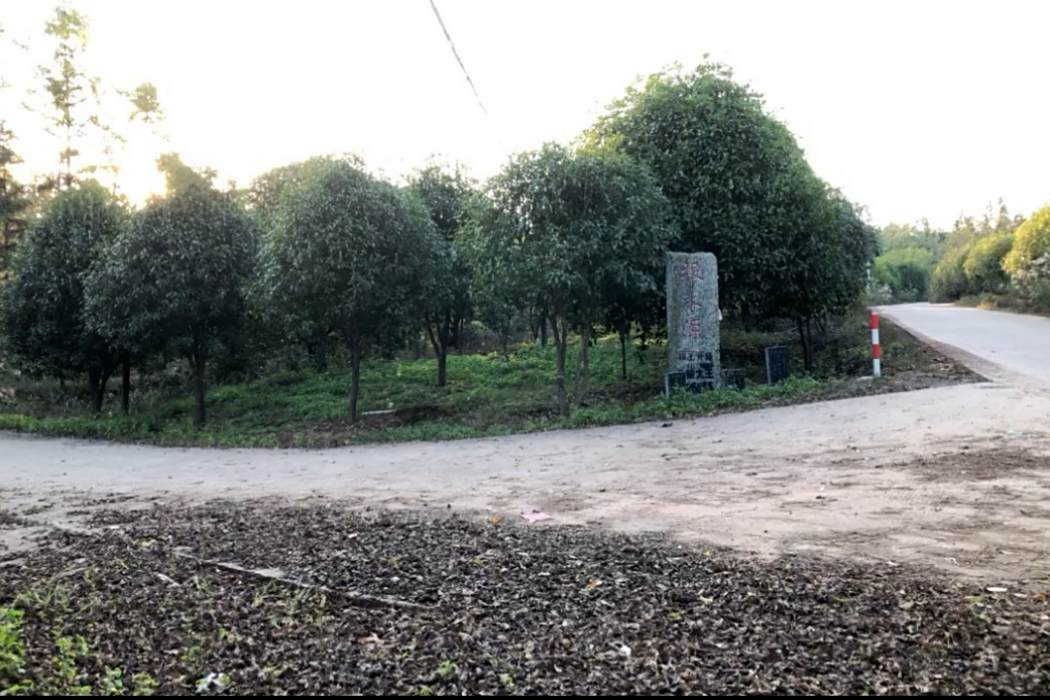 報木源村 報木源村