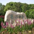 蜀岡西峰(蜀崗西峰) 蜀岡西峰(蜀崗西峰)