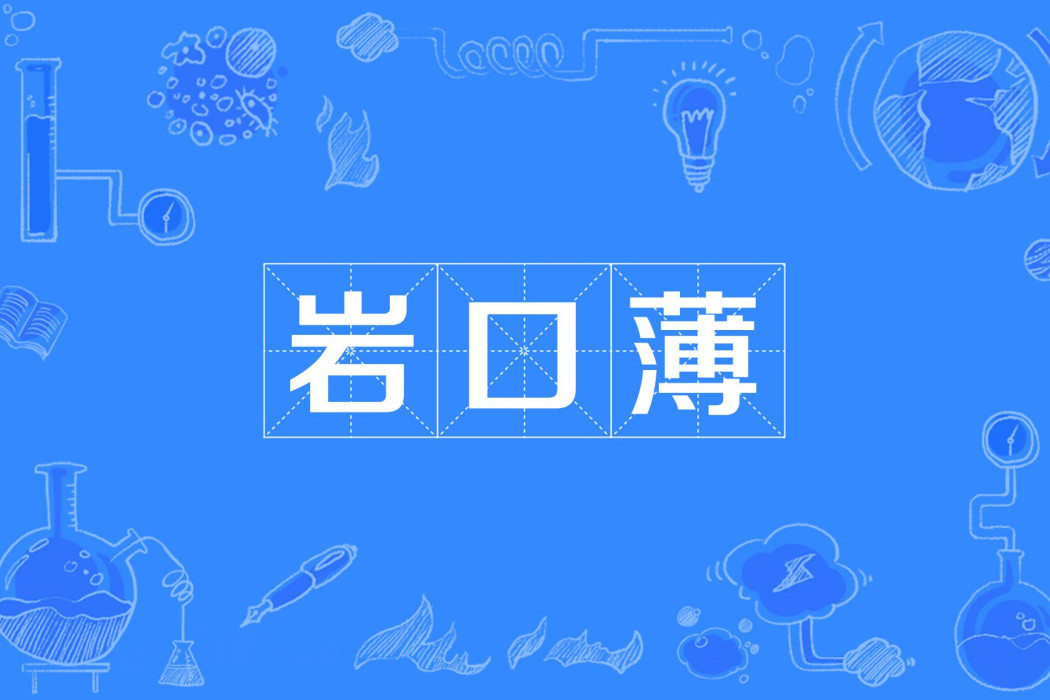 岩口簿 岩口簿