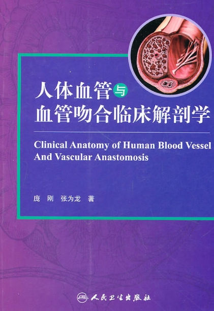 人體血管與血管吻合臨床解剖學