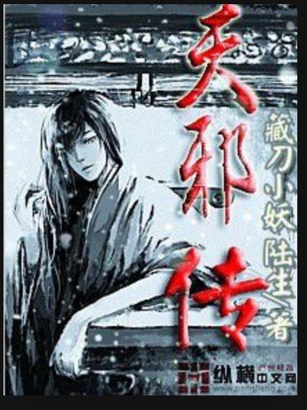 天邪傳(藏刀小妖陸生所著小說)