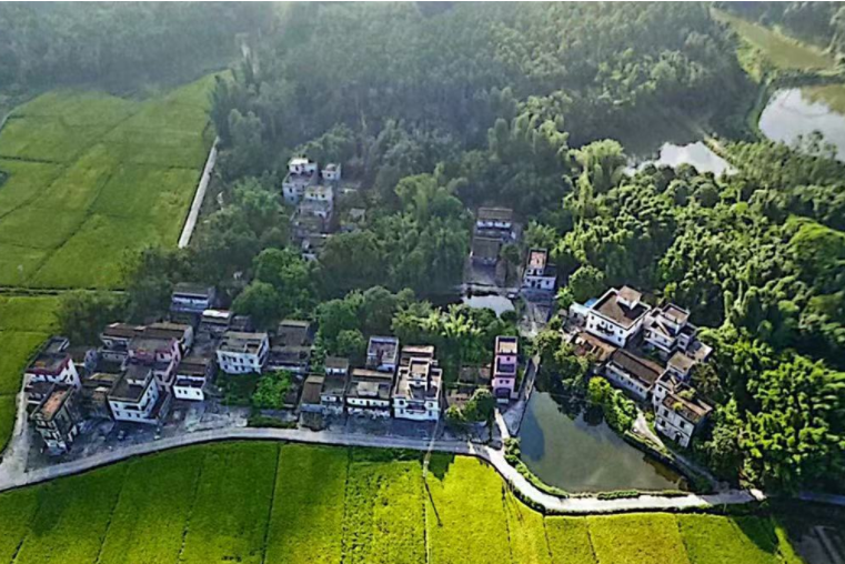 東坑中村 東坑中村