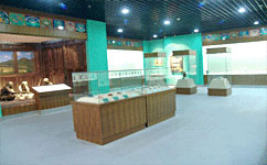 中國藏醫藥文化博物館