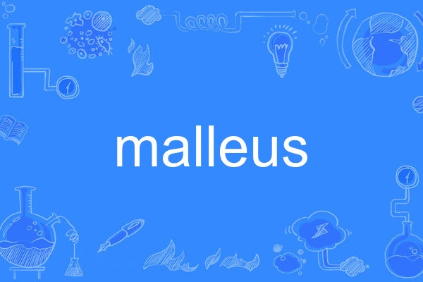 malleus malleus