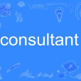 consultant consultant