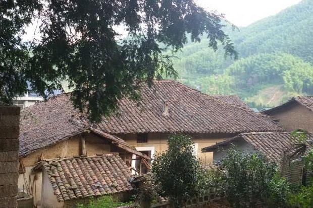 廿墩村 廿墩村