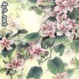 八里香 八里香
