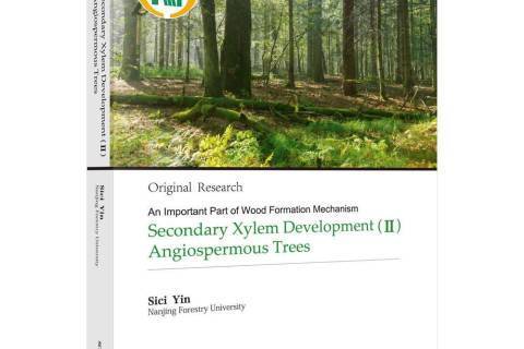 Secondary xylem development:Ⅱ