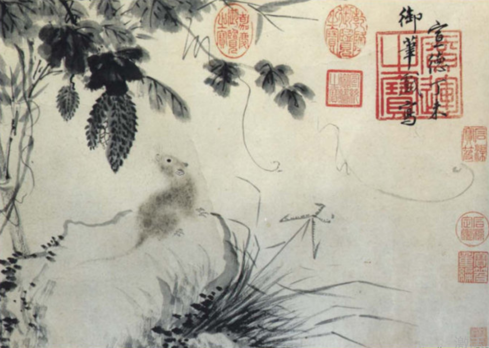 苦瓜鼠圖 苦瓜鼠圖