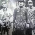 魯中南縱隊 魯中南縱隊