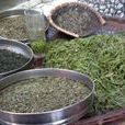 長沙綠茶 長沙綠茶