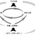 深度行銷