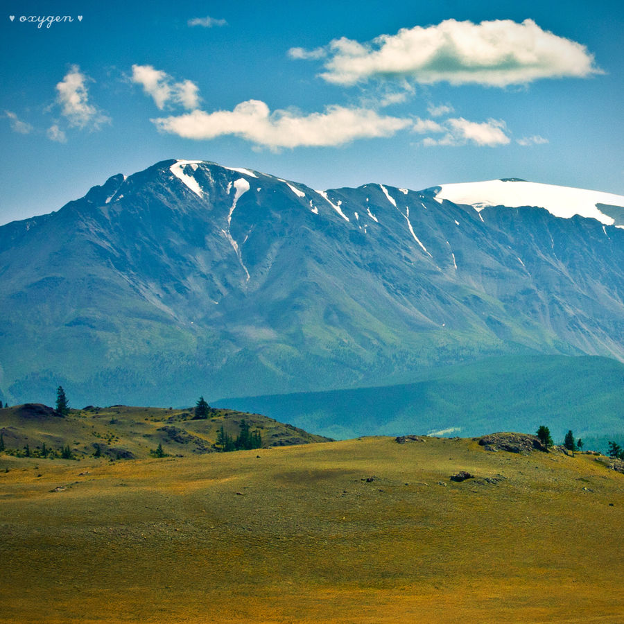 蒙古阿爾泰山脈