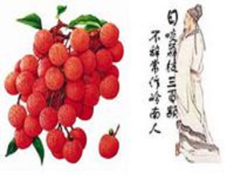 食荔支二首 食荔支二首