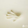 太空記憶棉