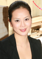 法內情2002(法內情（2002年黃日華主演電視劇）)