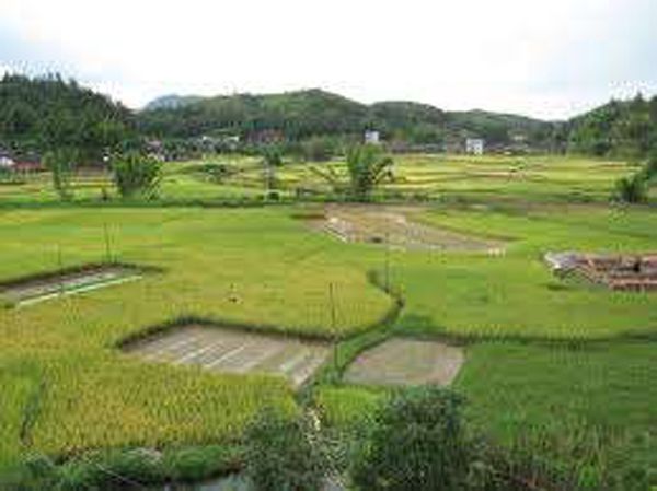 瑚徑村 瑚徑村