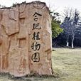 合肥植物園 合肥植物園