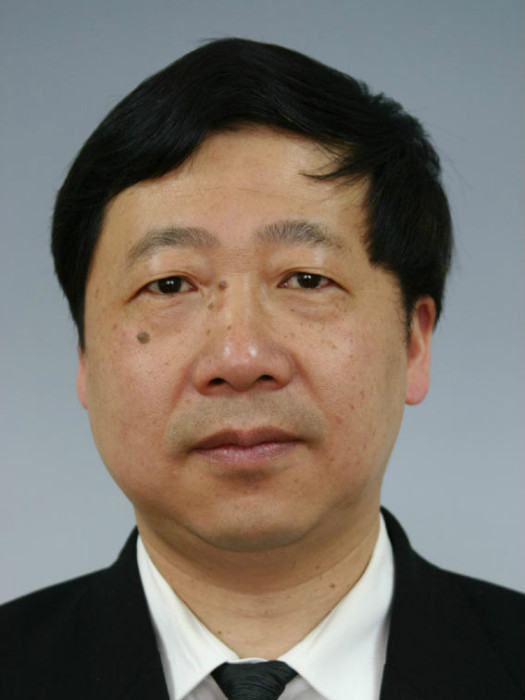 唐國平(上海市徐匯區人民法院審委會委員) 唐國平(上海市徐匯區人民法院審委會委員)