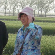 梁桂梅 梁桂梅