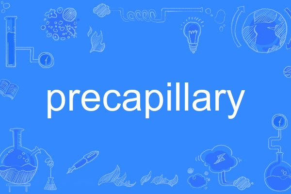 precapillary precapillary