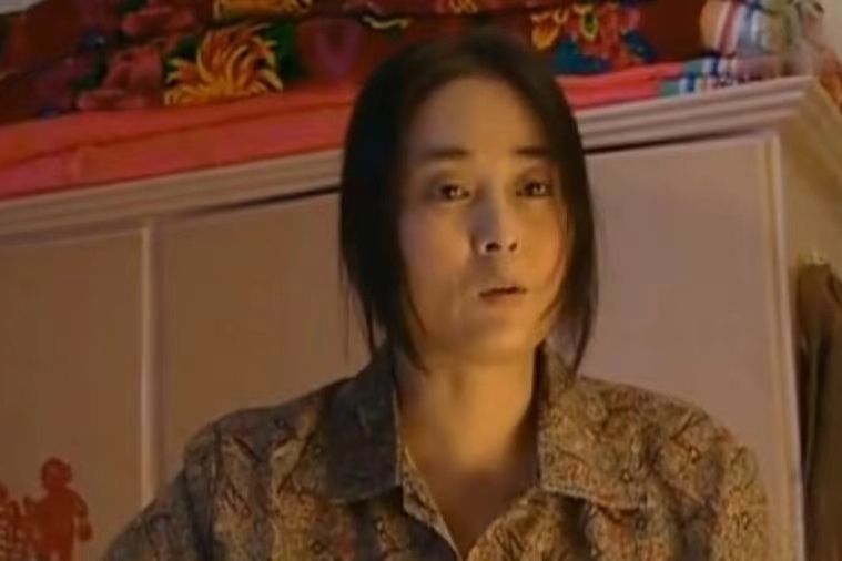 王文靜(農村題材劇《走進八里堡》中的角色) 王文靜(農村題材劇《走進八里堡》中的角色)