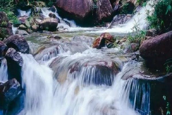 陽春三怪 陽春三怪