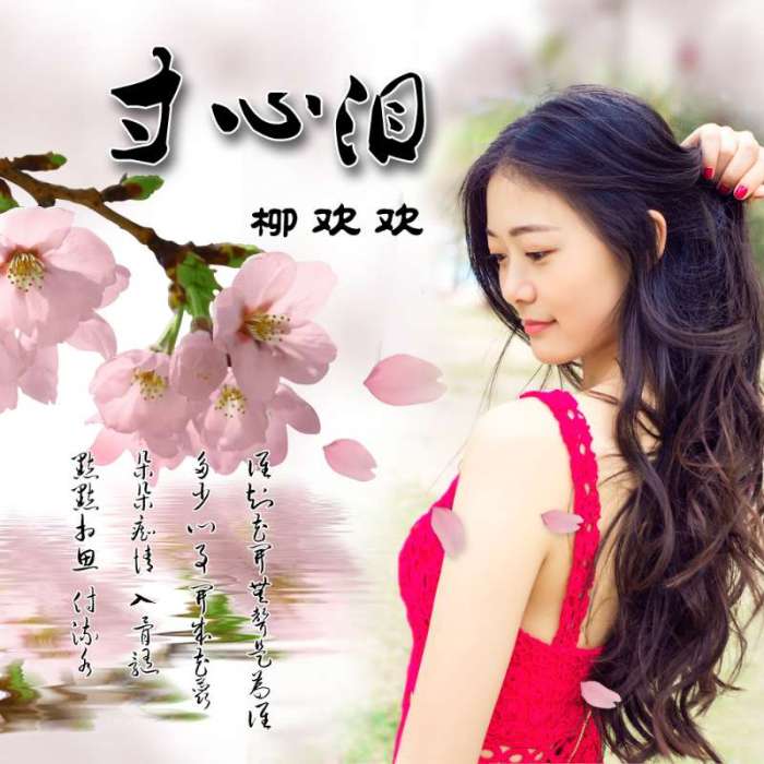 寸心淚 寸心淚
