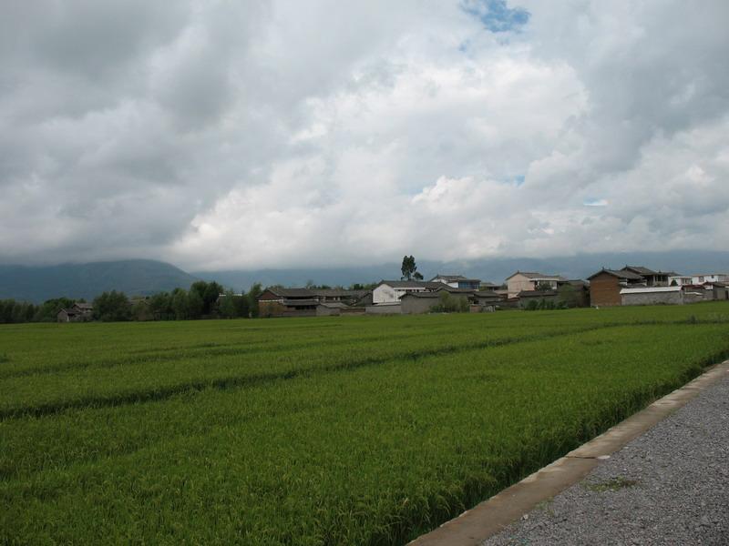 南種村 南種村