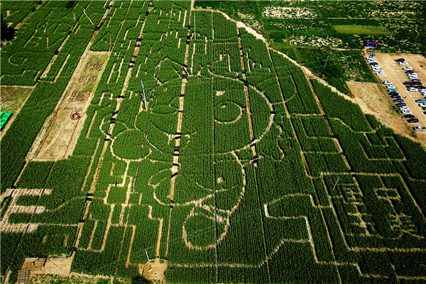 水果玉米迷宮