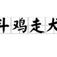 鬥雞走犬 鬥雞走犬