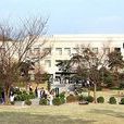 桂園藝術大學 桂園藝術大學