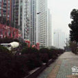 光華龍都 光華龍都