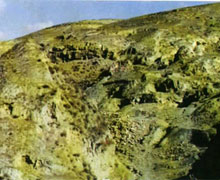 峙峪舊石器時代遺址