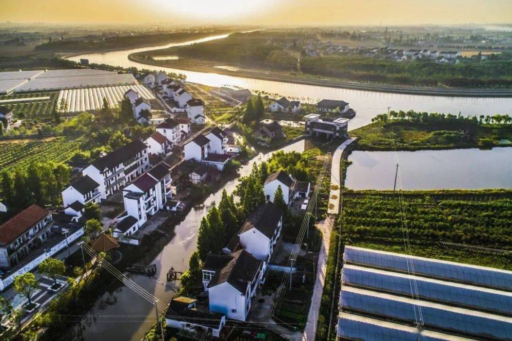 泖河村 泖河村