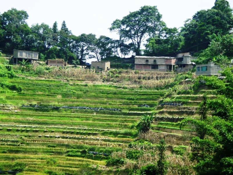 窩迷村(窩迷小寨村) 窩迷村(窩迷小寨村)