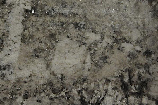 寶金白 寶金白
