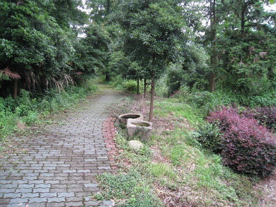 小盤山古道 小盤山古道