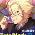 Fate/Mark有趣人生 Fate/Mark有趣人生
