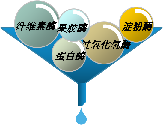 酶處理 酶處理
