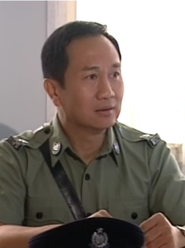 王嘉華(警匪劇《智勇新警界》中的角色) 王嘉華(警匪劇《智勇新警界》中的角色)