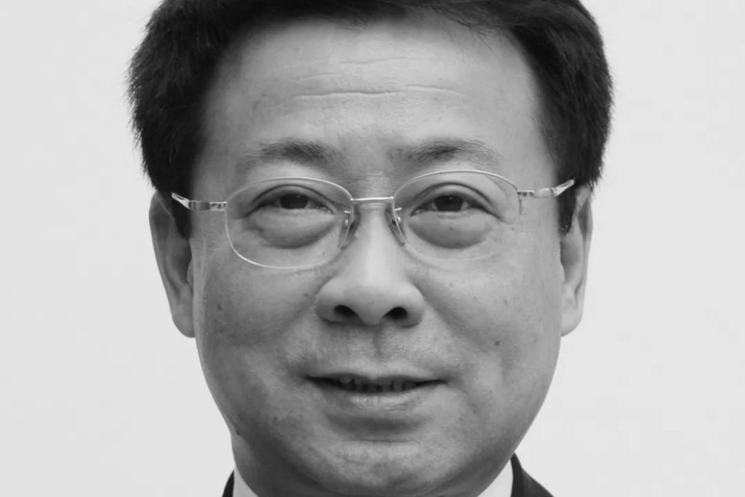 劉儉(沙鋼集團原副總裁) 劉儉(沙鋼集團原副總裁)