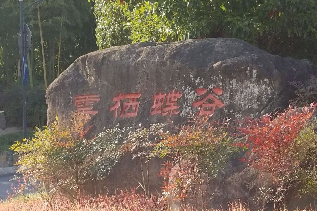 雲棲蝶谷 雲棲蝶谷