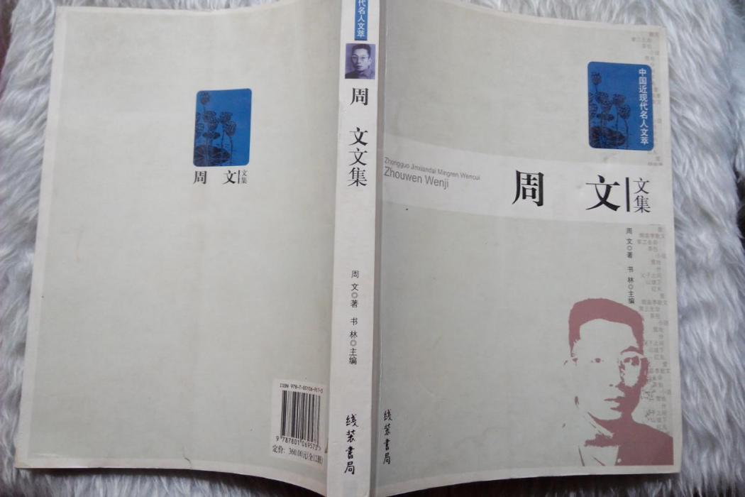 周文文集 周文文集