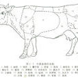 鬐甲 鬐甲