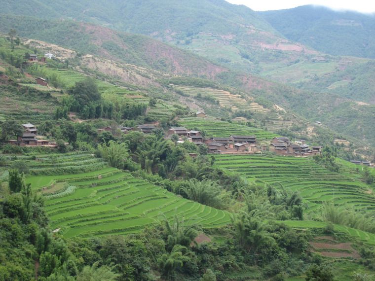 打拉口村 打拉口村