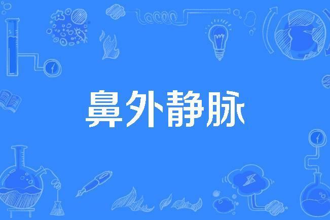 鼻外靜脈 鼻外靜脈