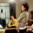 幸福生活(2004年吳曉東執導電視劇) 幸福生活(2004年吳曉東執導電視劇)